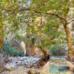 app-Rokka Schlucht 02