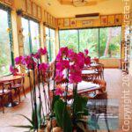 app-kipos-cafe-chania-9