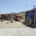 app-Striligkas-Olive-Mill-3