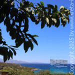 Taverna-Panorama-Voulisma-05