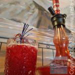 app-Agrilia-Restaurant-09