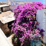 app-Sphendyli-Lost-Place1