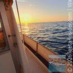 app-eva-fishing-panormo-3