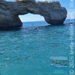 app-eva-fishing-panormo-4