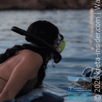 dia-boat-tours-gouves-4-app