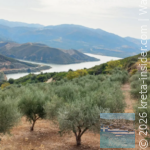 ktima-kotsifi-rethymnon-2