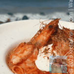 mare-mio-hersonissos-8app-