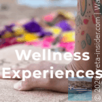nature-soul-adventures-2-app