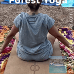 nature-soul-adventures-7-app