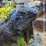 aquaworld-hersonissos-1-app