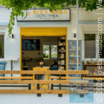 bees-world-dorothea-9-app