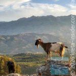 cretantour-heraklion-4