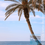 ocean-bar-restaurant-stalida-7-app