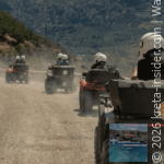 wildcrete-1-app