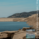 wildcrete-6-app