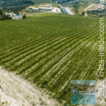 domaine-paterianakis–melesses-1