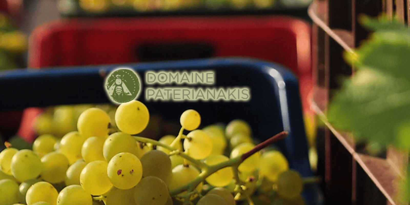 Domaine Paterianakis – Melesses