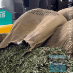 elaiouvios-olive-oil-5