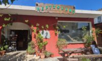 Reptisland5