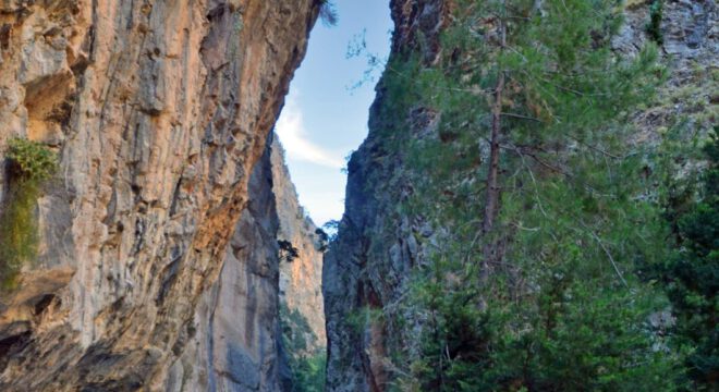 Samaria (3)