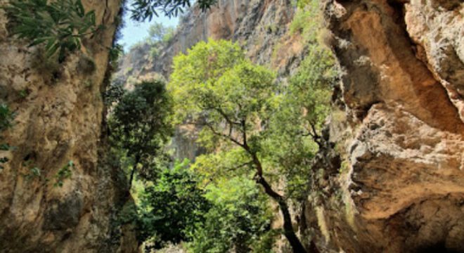 app-Agia Irini 2