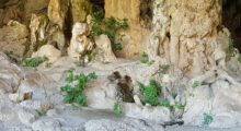 app-Agia Sophia Tropfsteinhöhle (1)