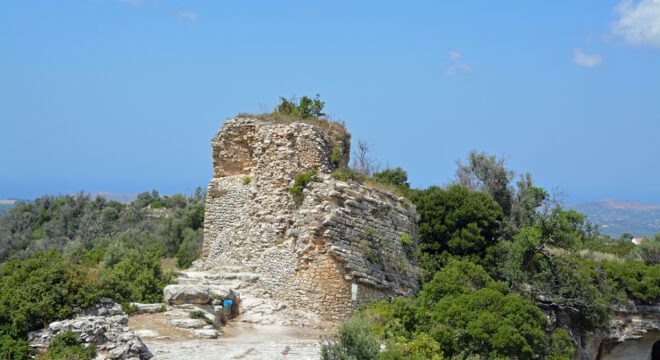 app-Archea Elefetherna (3)