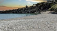 app-Avra Palm Beach1