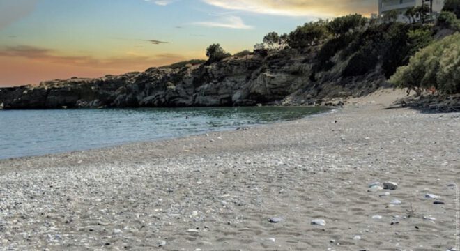 app-Avra Palm Beach1