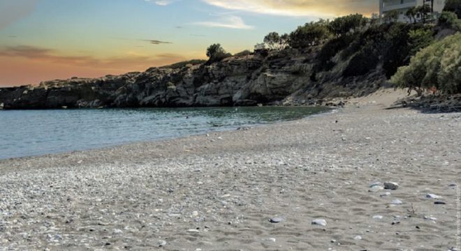 app-Avra Palm Beach1