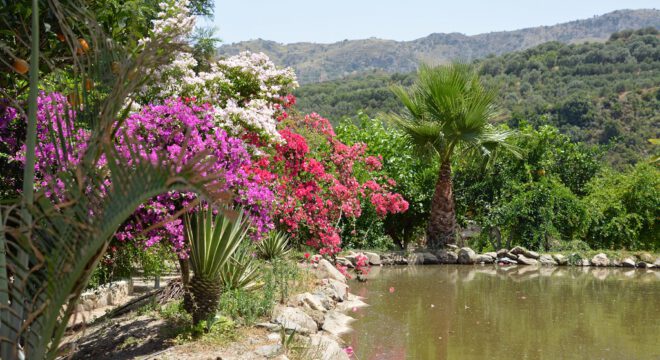 app-Botanischer Garten (1)