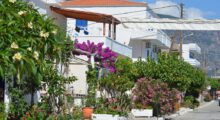 app-DSC_0246