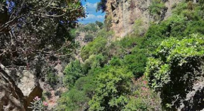 app-Diktamos Schlucht 03