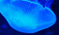 app-IMG_20201020_142656