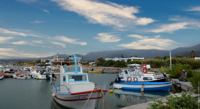 app-Malia (2)