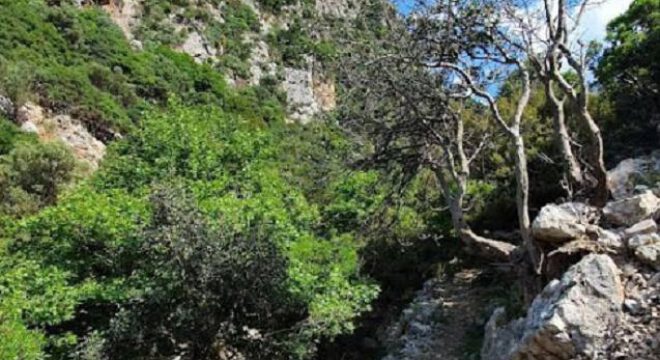 app-Sirikari Schlucht 03