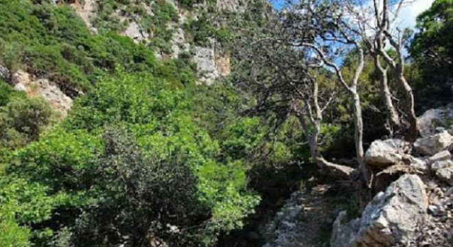 app-Sirikari Schlucht 03
