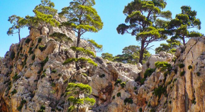 app-pefki-schlucht-1