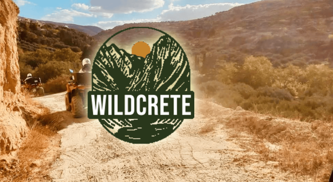 wildcrete-header-app