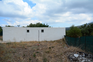 DSC 3636