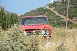DSC 1846