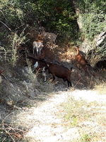 20191005 094316 20191005 094316