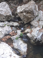 20191005 101845 20191005 101845