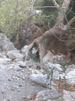 20191005 102220 20191005 102220