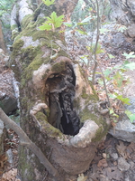 20191005 102616 20191005 102616