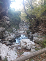 20191005 101808 20191005 101808