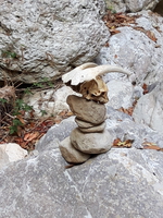 20191005 113644 20191005 113644