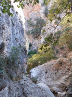 20191005 103619 20191005 103619