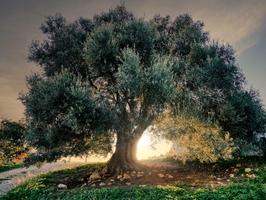 crete 7517450 1920 crete 7517450 1920