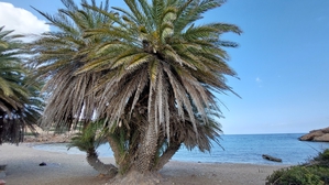 20230530 171447 20230530 171447